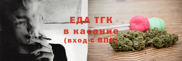 стаф Осинники