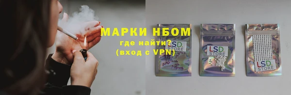 гидропоника Алзамай