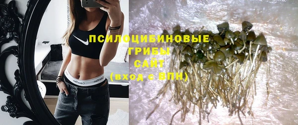 молекула духа Алексин