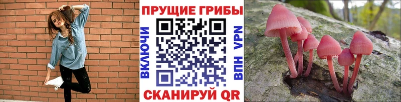 Псилоцибиновые грибы Psilocybine cubensis  darknet состав  Пикалёво 
